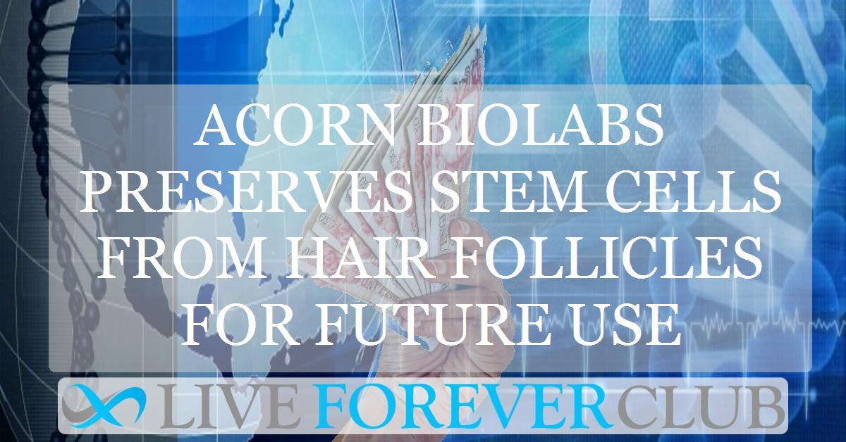 Acorn Biolabs preserves stem cells from hair follicles for future use