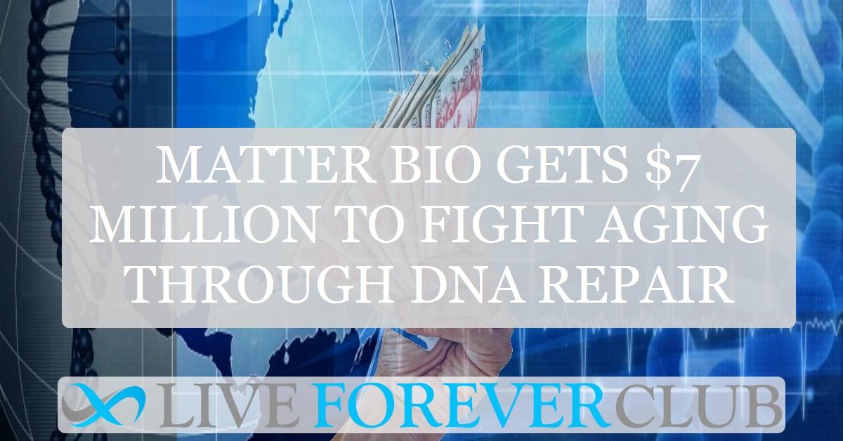 Matter Bio gets $7 million to fight aging through DNA repair