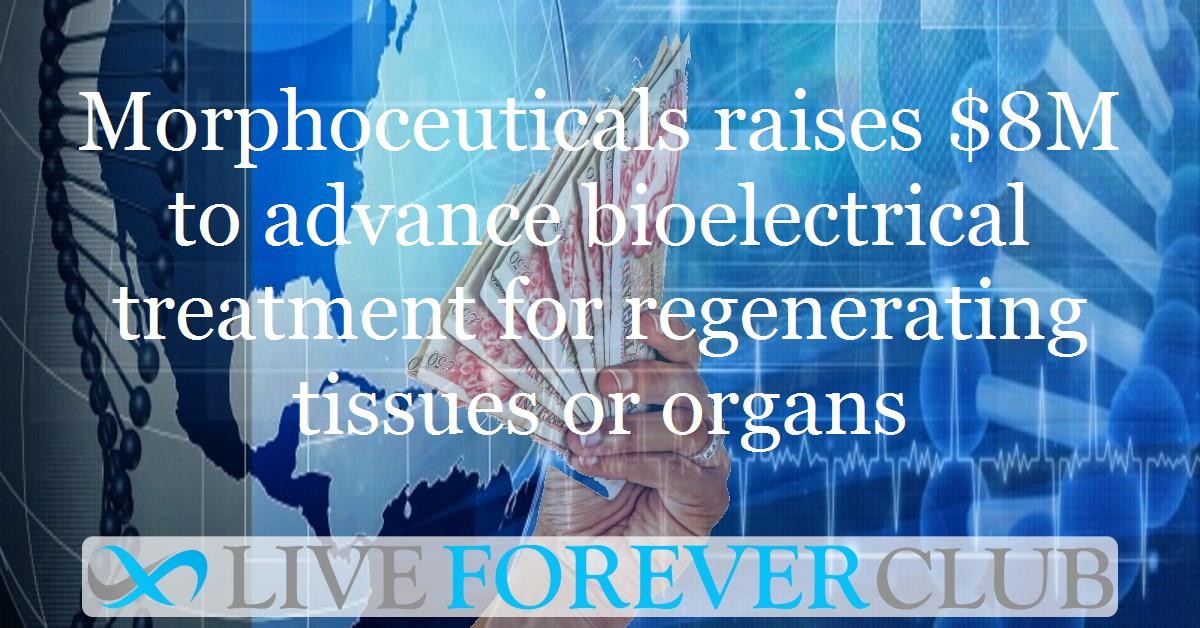 Morphoceuticals raises $8M to advance bioelectrical treatment for regenerating tissues or organs