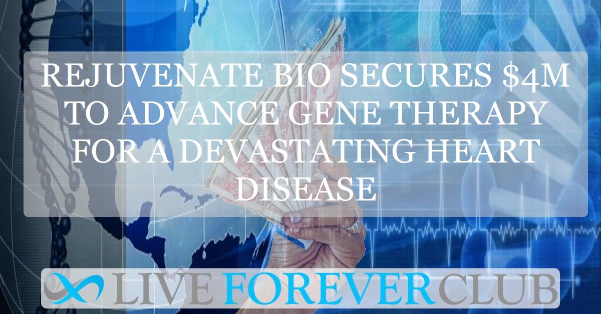 Rejuvenate Bio secures $4M to advance gene therapy for a devastating heart disease