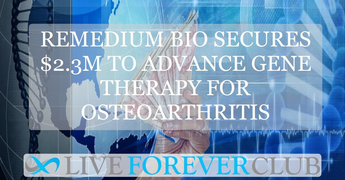 Remedium Bio secures $2.3m to advance gene therapy for osteoarthritis