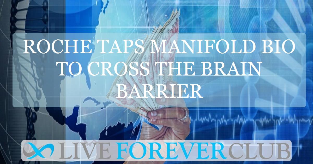 Roche taps Manifold Bio to cross the brain barrier