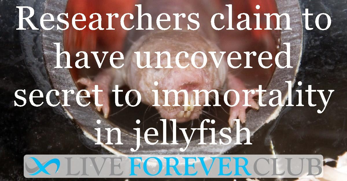 Researchers claim to have uncovered secret to immortality in jellyfish