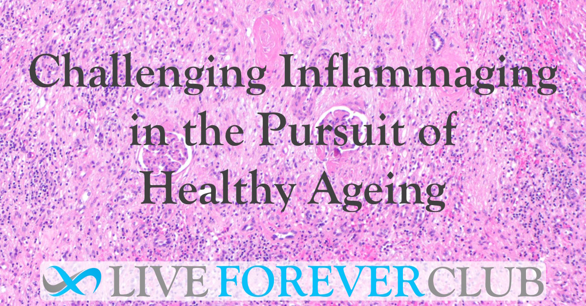 Challenging Inflammaging in the Pursuit of Healthy Ageing