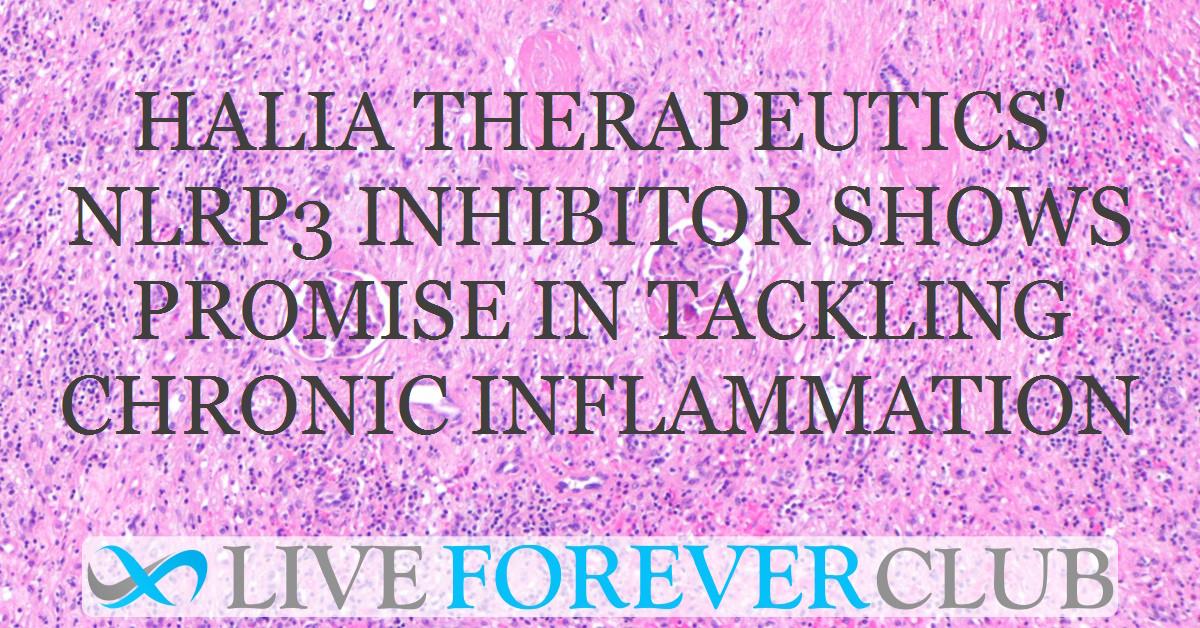 Halia Therapeutics' NLRP3 inhibitor shows promise in tackling chronic inflammation