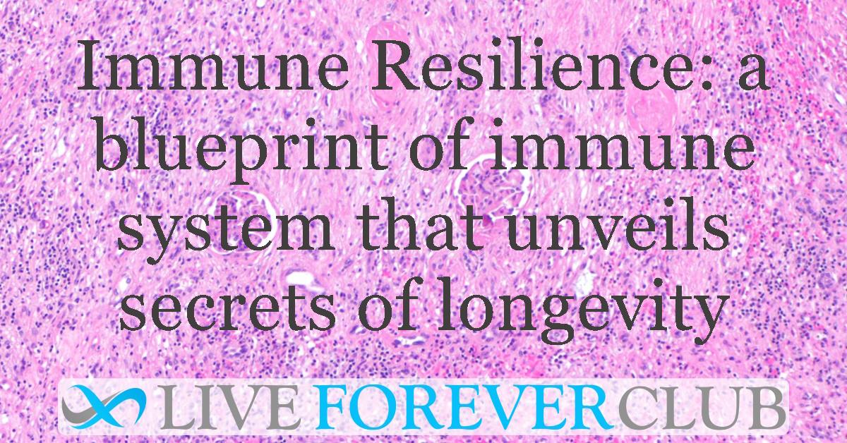 Immune Resilience: a blueprint of your immune system that unveils the secrets of longevity