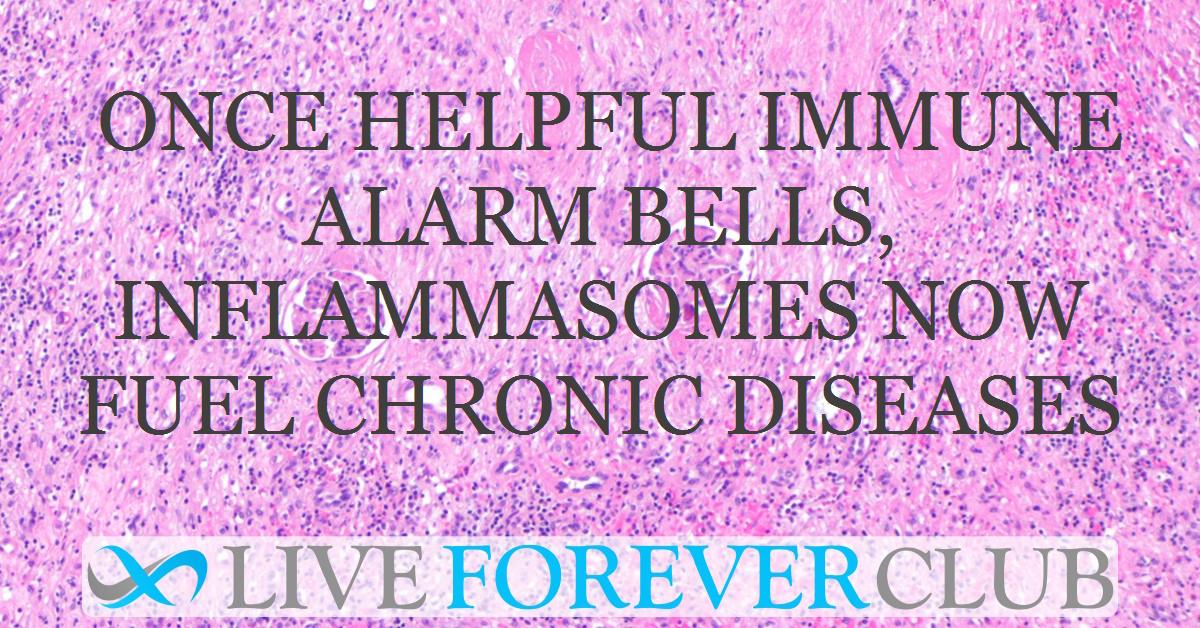 Once helpful immune alarm bells, inflammasomes now fuel chronic diseases