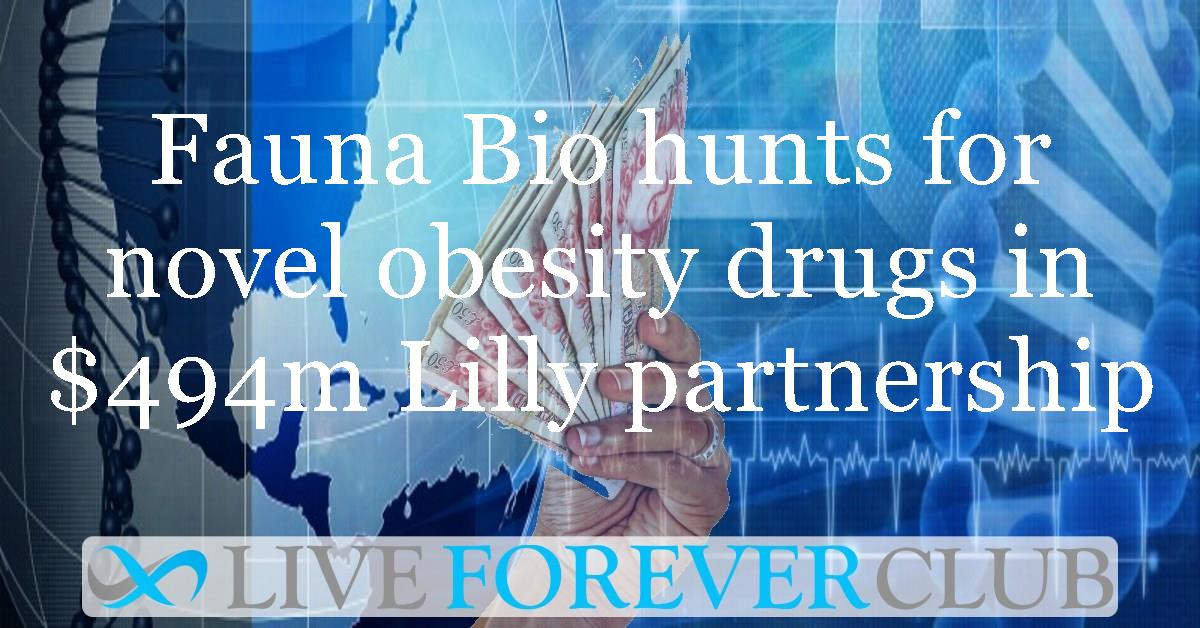 Fauna Bio hunts for novel obesity drugs in $494m Lilly partnership