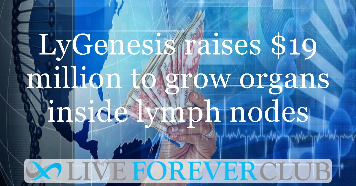 LyGenesis raises $19 million to grow organs inside lymph nodes