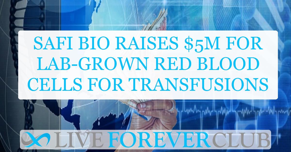 Safi bio raises $5M for lab-grown red blood cells for transfusions