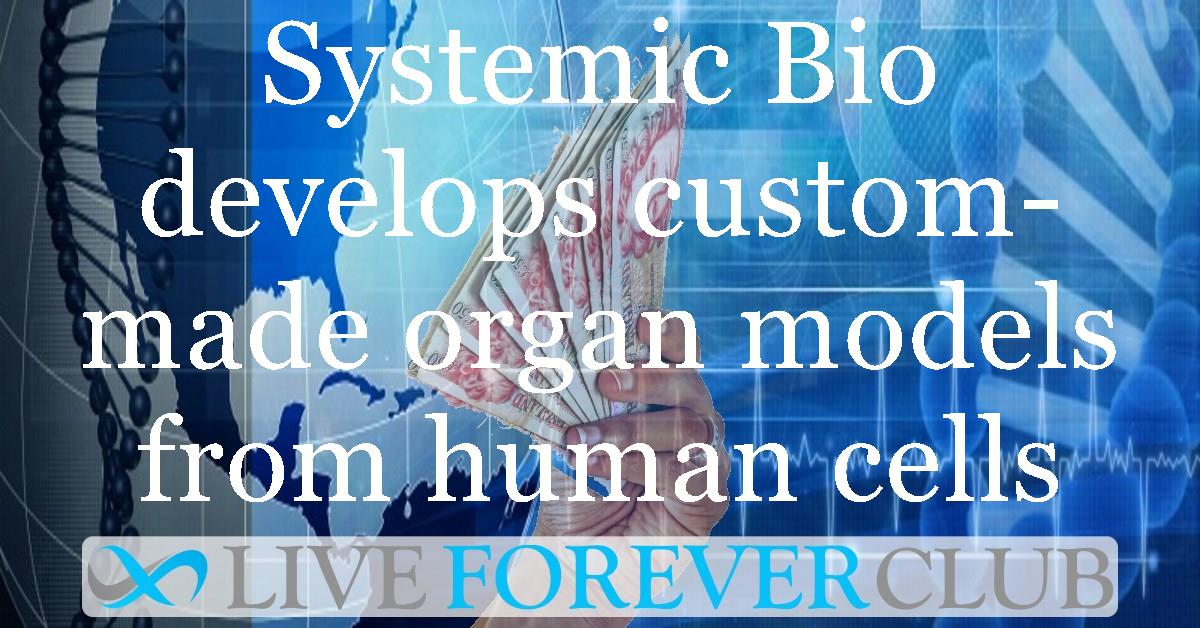 Systemic Bio develops custom-made organ models from human cells