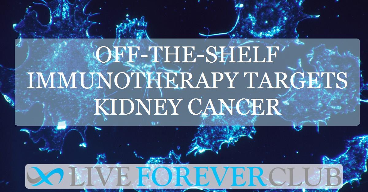 Off-the-shelf immunotherapy targets kidney cancer