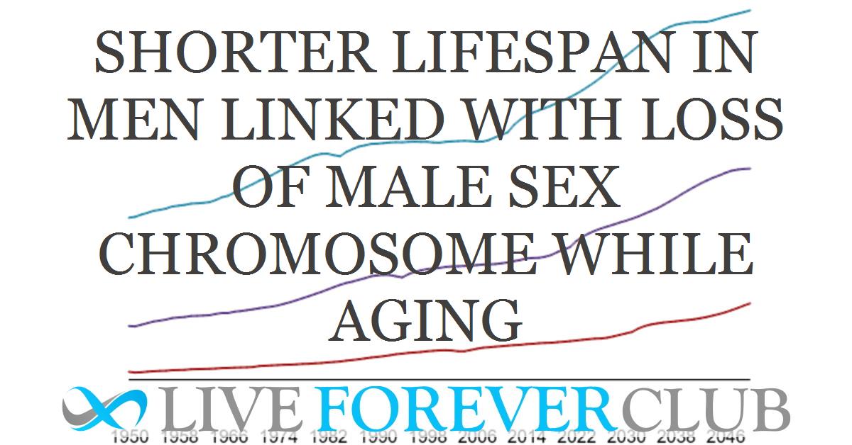 Shorter lifespan in men linked with loss of male sex chromosome while aging
