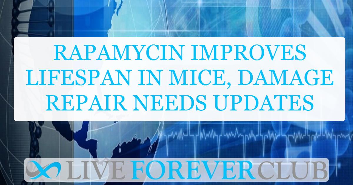 Rapamycin improves lifespan in mice, damage repair needs updates