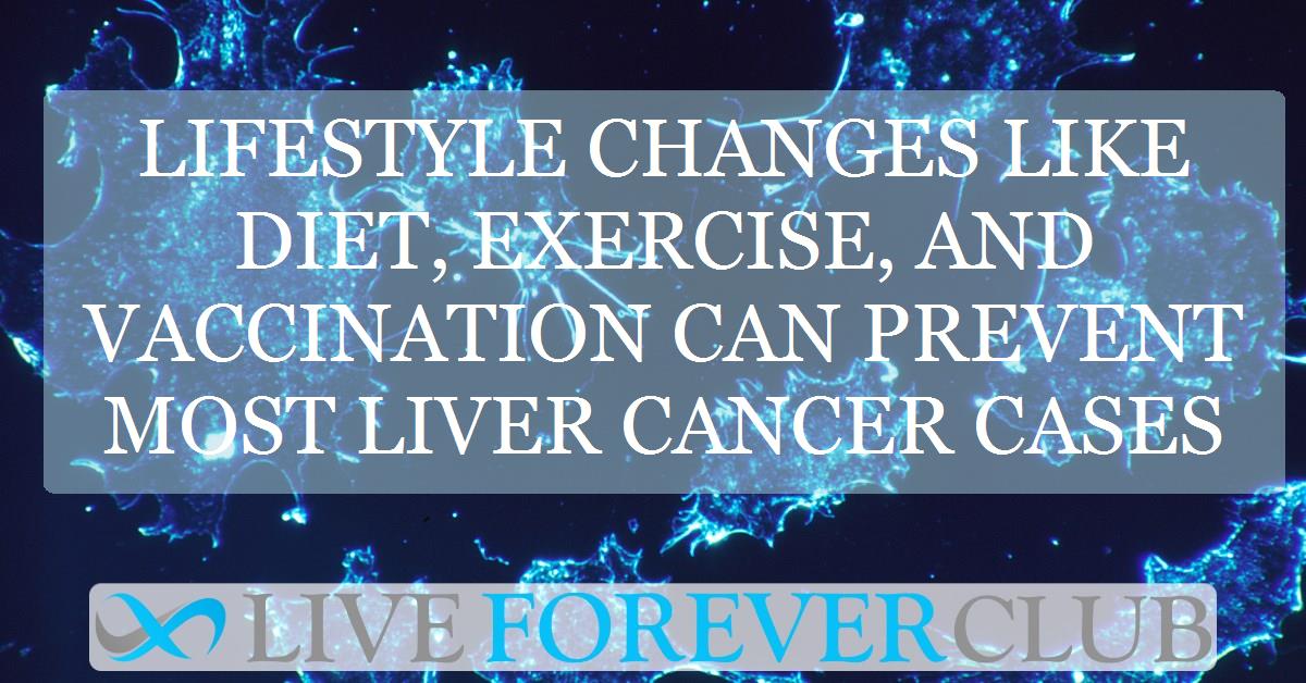 Lifestyle changes like diet, exercise, and vaccination can prevent most liver cancer cases