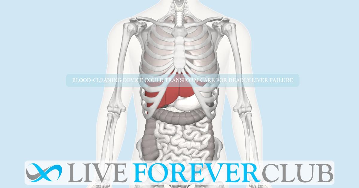 Blood-cleaning device could transform care for deadly liver failure