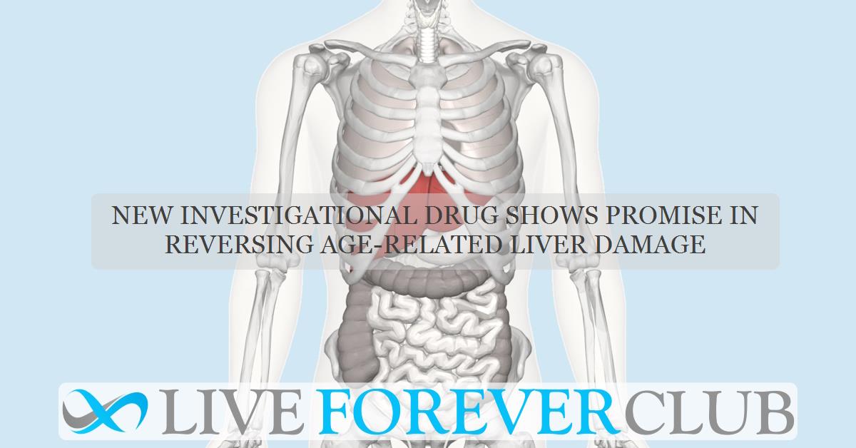 New investigational drug shows promise in reversing age-related liver damage