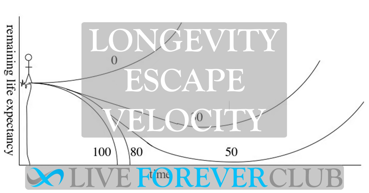 Longevity Escape Velocity