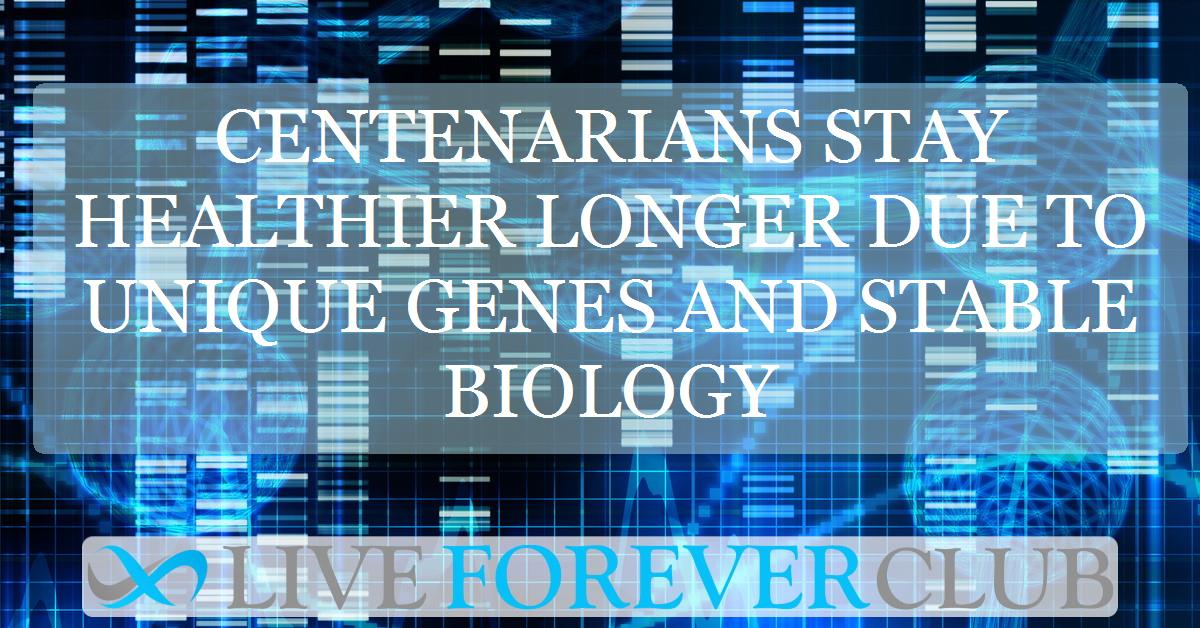 Centenarians stay healthier longer due to unique genes and stable biology