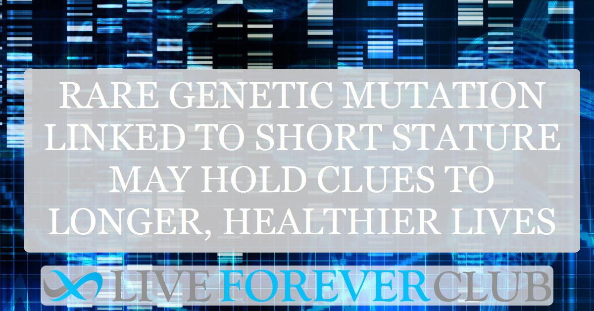 Rare genetic mutation linked to short stature may hold clues to longer, healthier lives