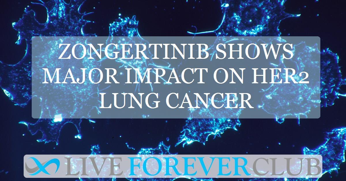 Zongertinib shows major impact on HER2 lung cancer