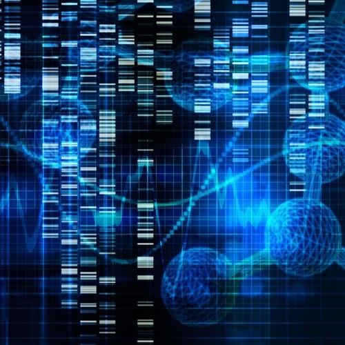More Longevity Genes information, news and resources