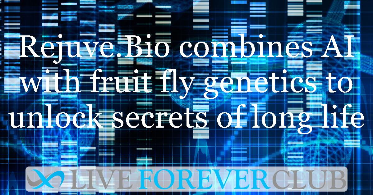 Rejuve.Bio combines AI with fruit fly genetics to unlock the secrets of long life