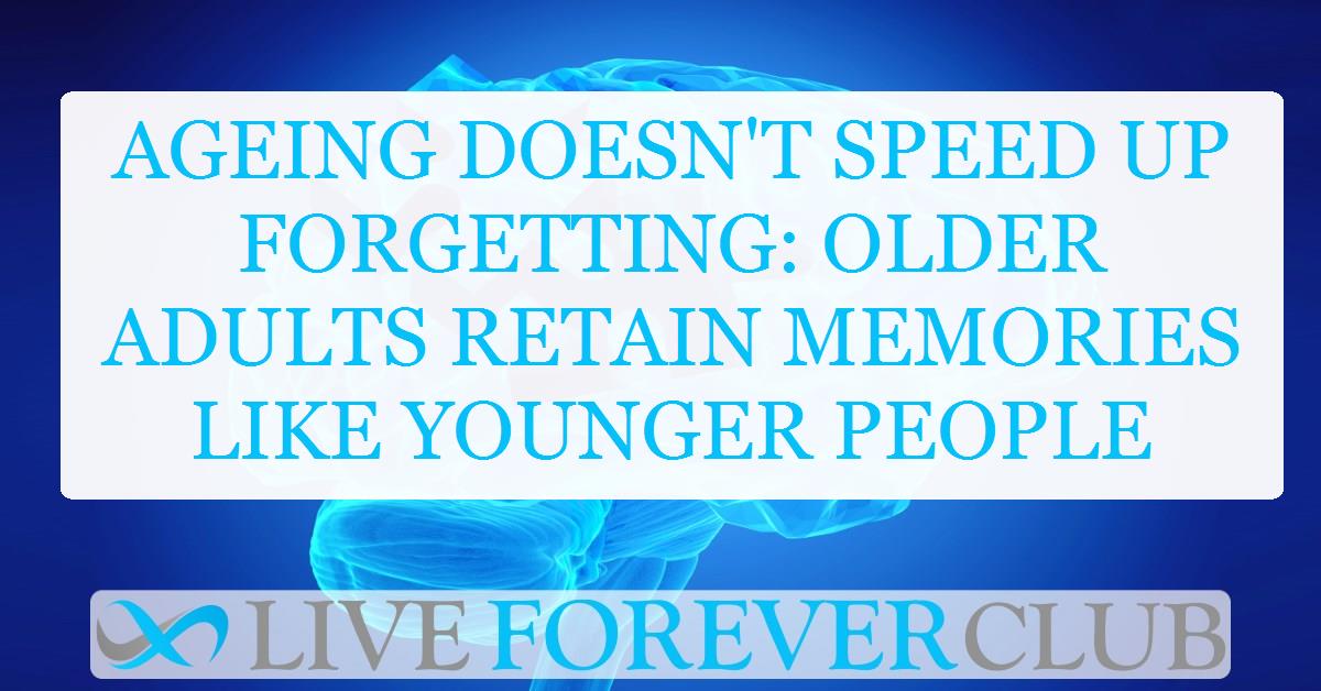 Ageing doesn't speed up forgetting: older adults retain memories like younger people