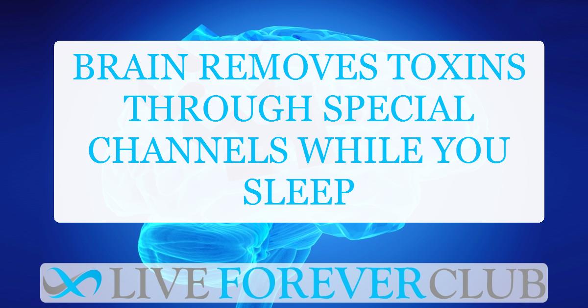 Brain removes toxins through special channels while you sleep