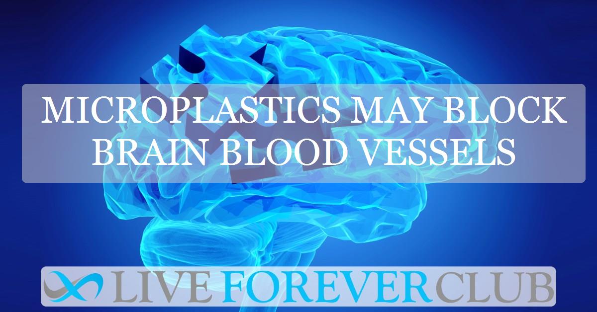 Microplastics may block brain blood vessels