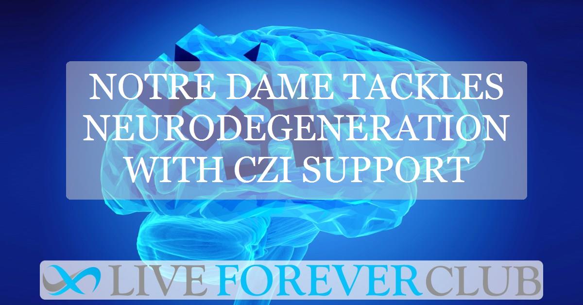 Notre Dame tackles neurodegeneration with CZI support