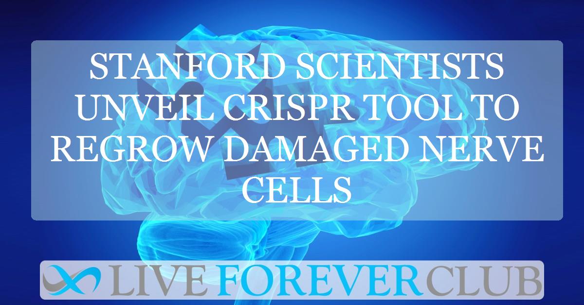 Stanford scientists unveil CRISPR tool to regrow damaged nerve cells