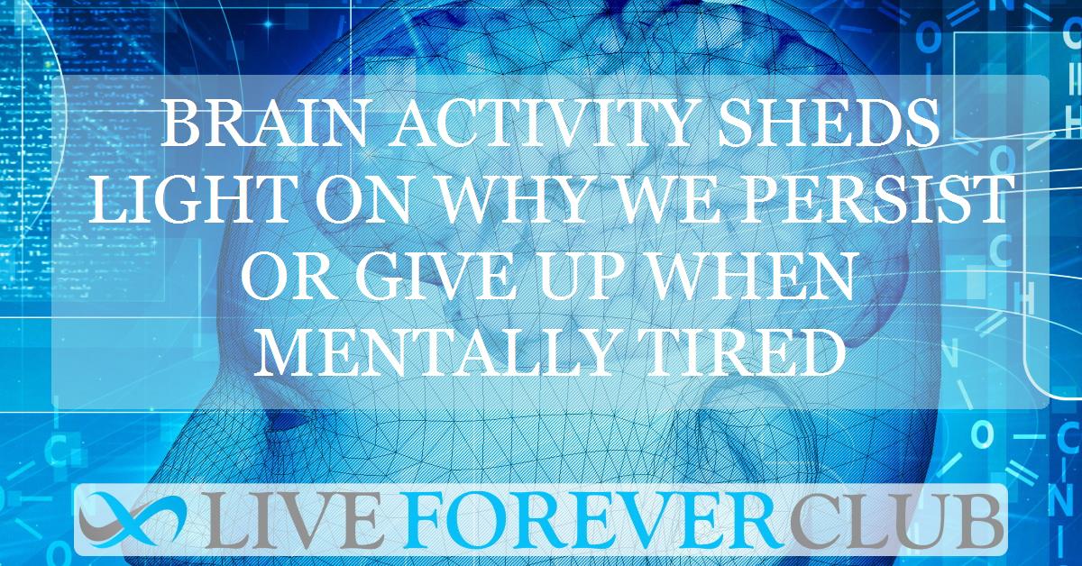Brain activity sheds light on why we persist or give up when mentally tired