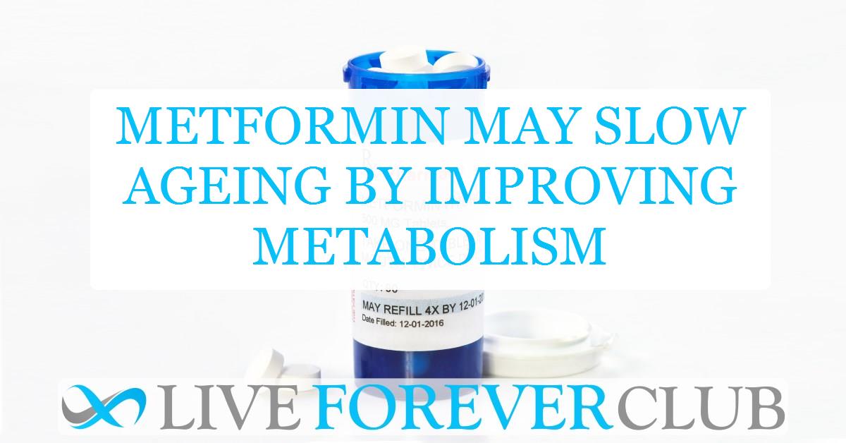 Metformin may slow ageing by improving metabolism