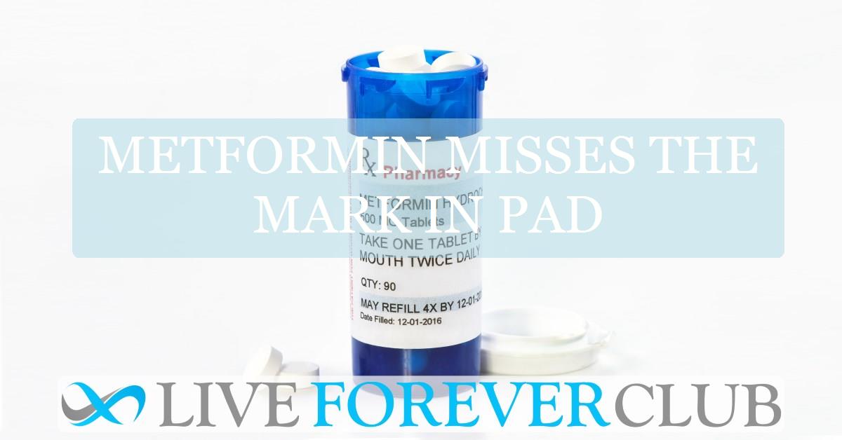Metformin misses the mark in PAD