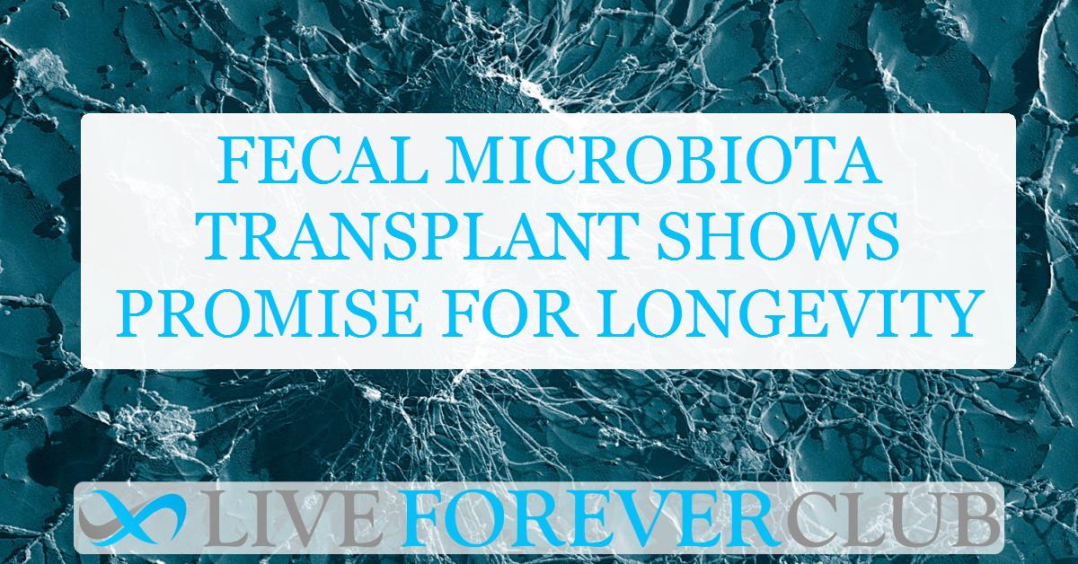 Fecal microbiota transplant shows promise for longevity