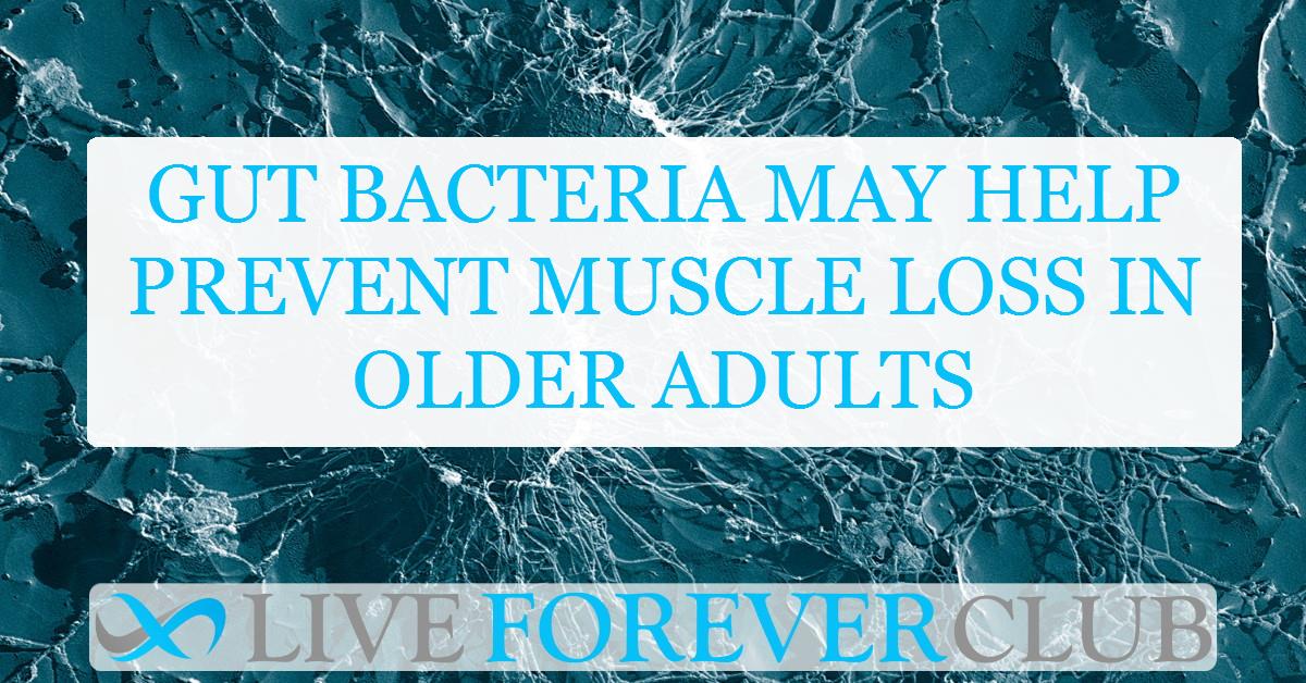 Gut bacteria may help prevent muscle loss in older adults