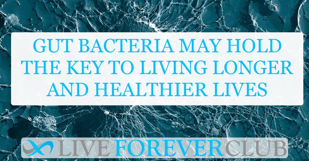 Gut bacteria may hold the key to living longer and healthier lives