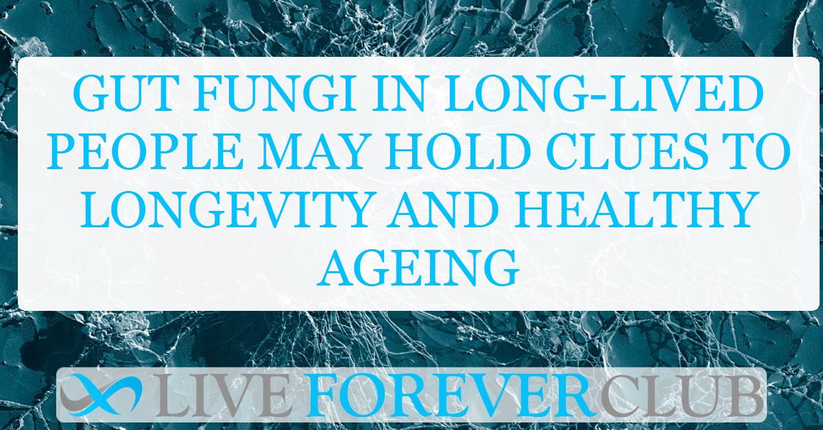 Gut fungi in long-lived people may hold clues to longevity and healthy ageing