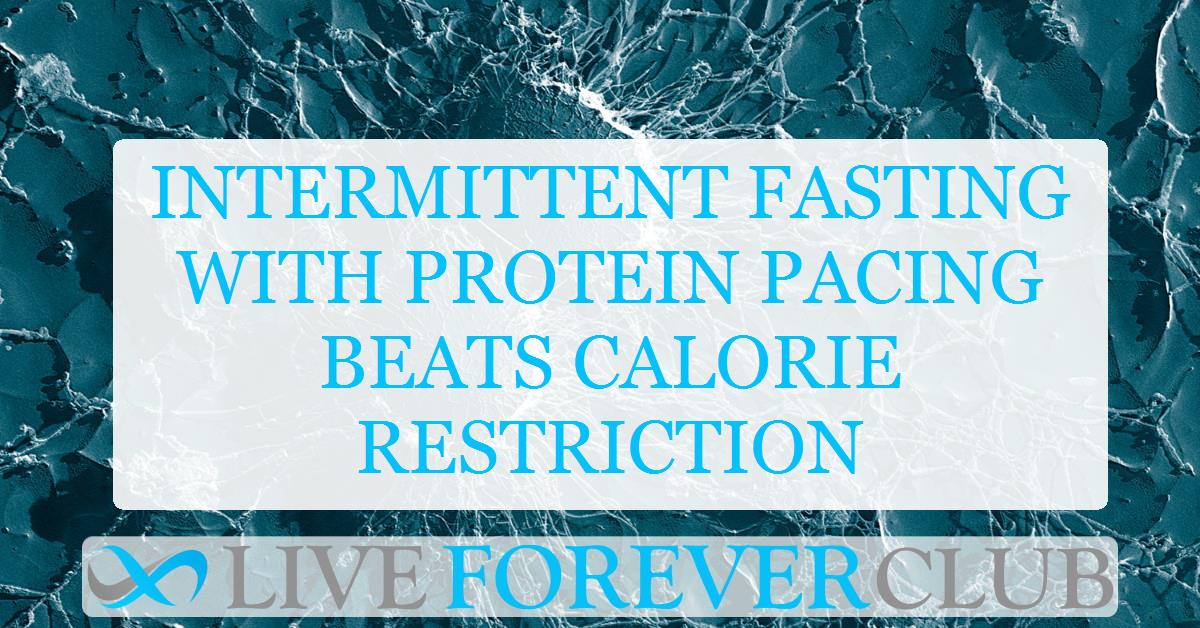 Intermittent fasting with protein pacing beats calorie restriction