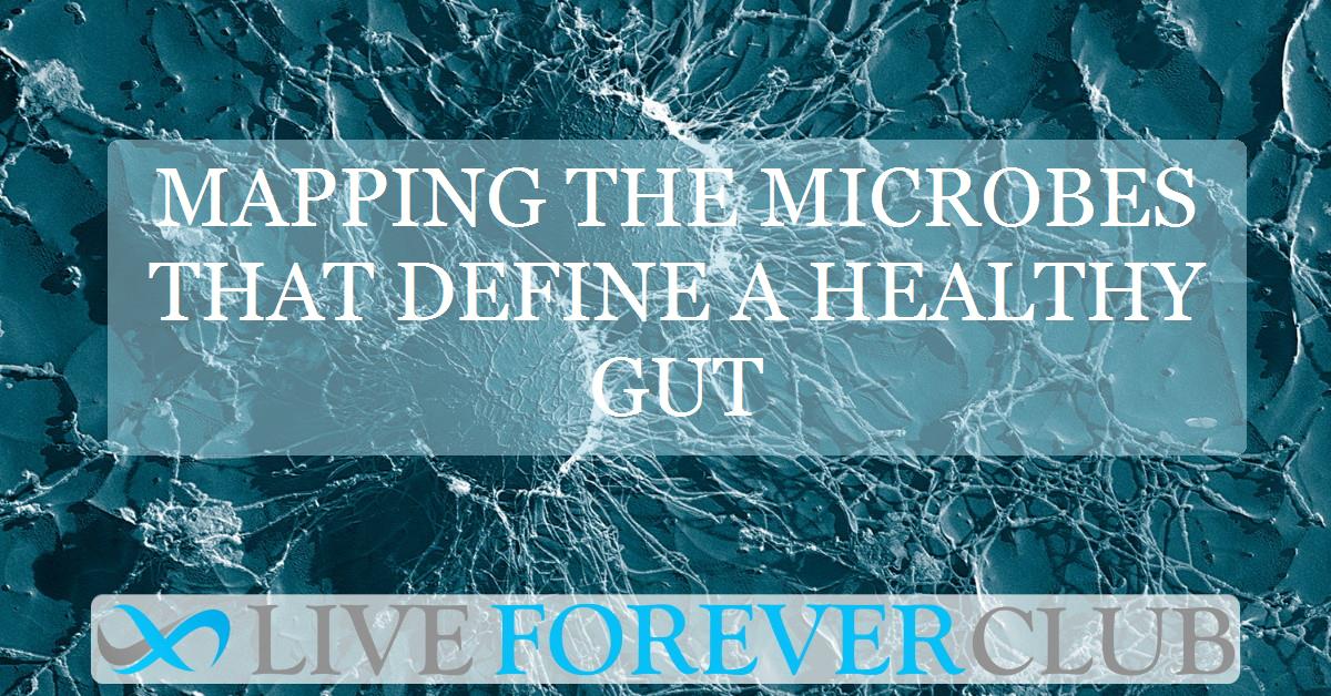 Mapping the microbes that define a healthy gut