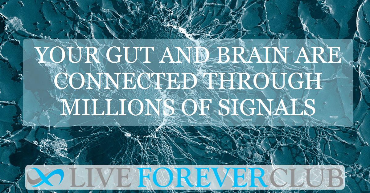 Your gut and brain are connected through millions of signals