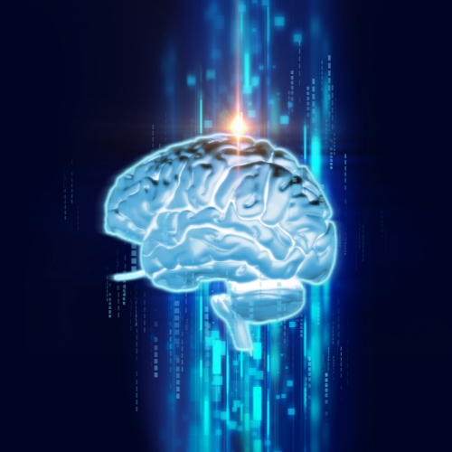 Can an uploaded brain live forever?