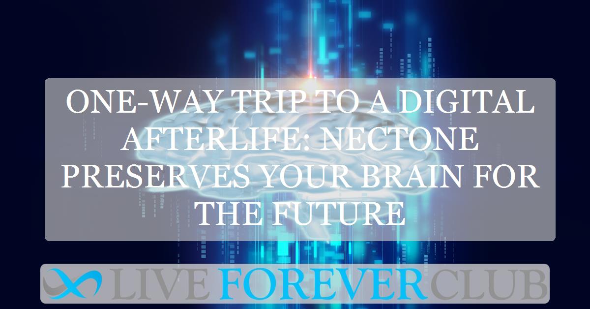 One-way trip to a digital afterlife: Nectone preserves your brain for the future