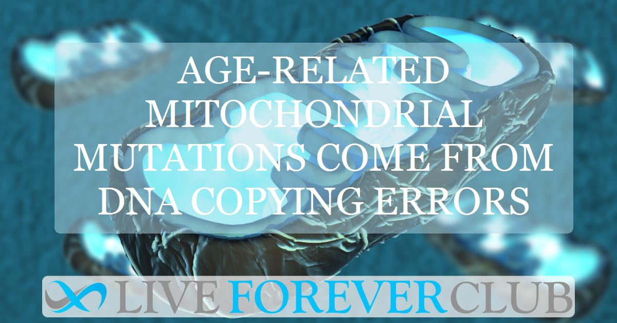 Age-related mitochondrial mutations come from DNA copying errors