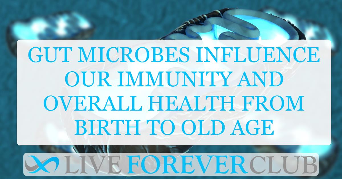 Gut microbes influence our immunity and overall health from birth to old age