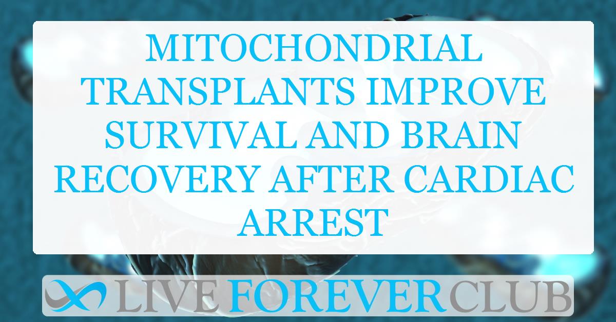 Mitochondrial transplants improve survival and brain recovery after cardiac arrest