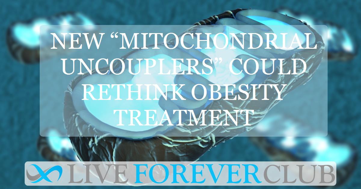 New “Mitochondrial Uncouplers” could rethink obesity treatment