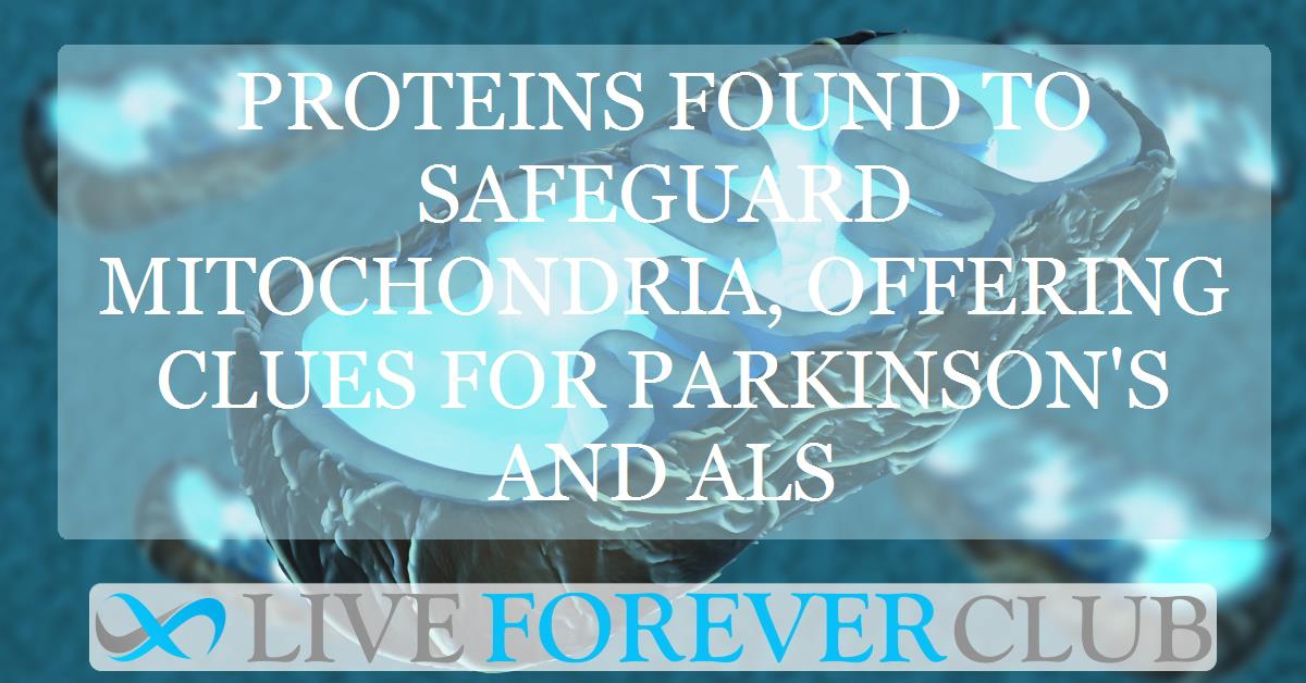 Proteins found to safeguard mitochondria, offering clues for Parkinson's and ALS