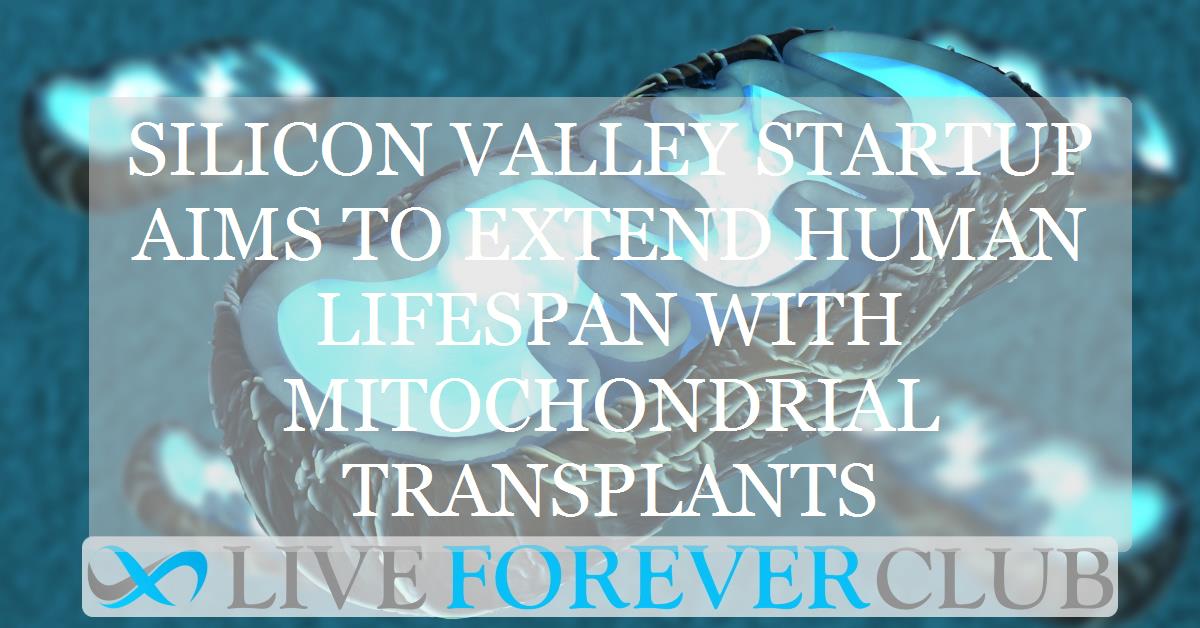 Silicon Valley startup aims to extend human lifespan with mitochondrial transplants